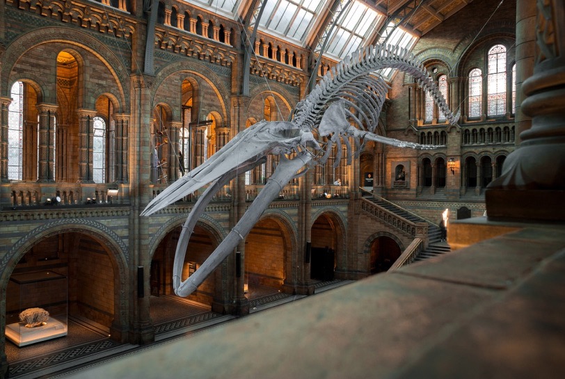 A picture of the community science museum