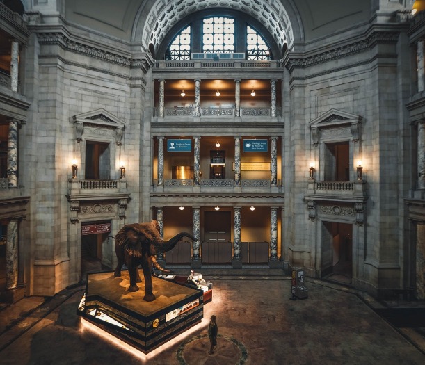 A picture of the community science museum.